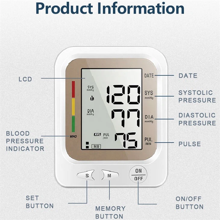 Bp Monitor in Blood Pressure Monitor